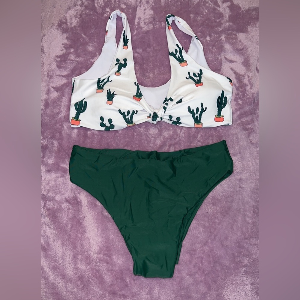 Cactus set